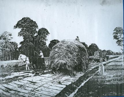 Early Transportation - Plank Road